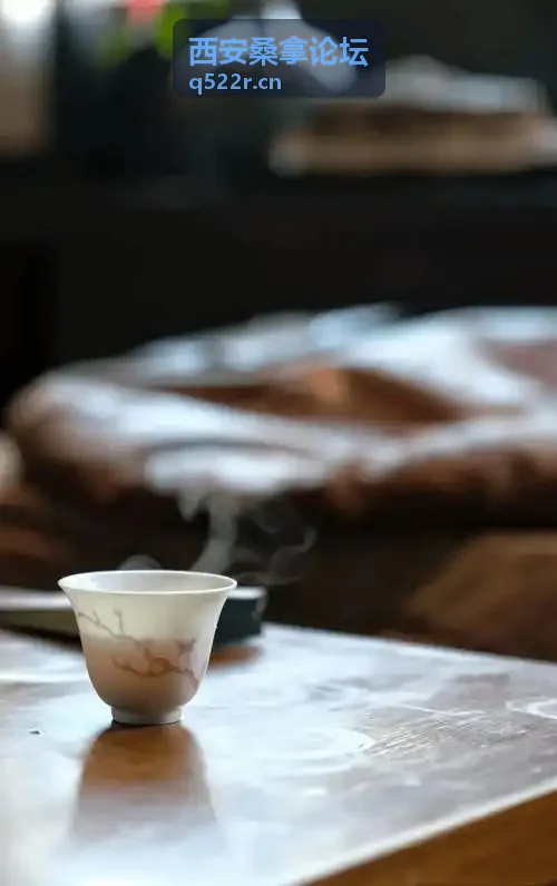西安桑拿论坛 新手指引指南配图